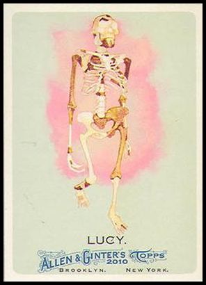 22 Lucy